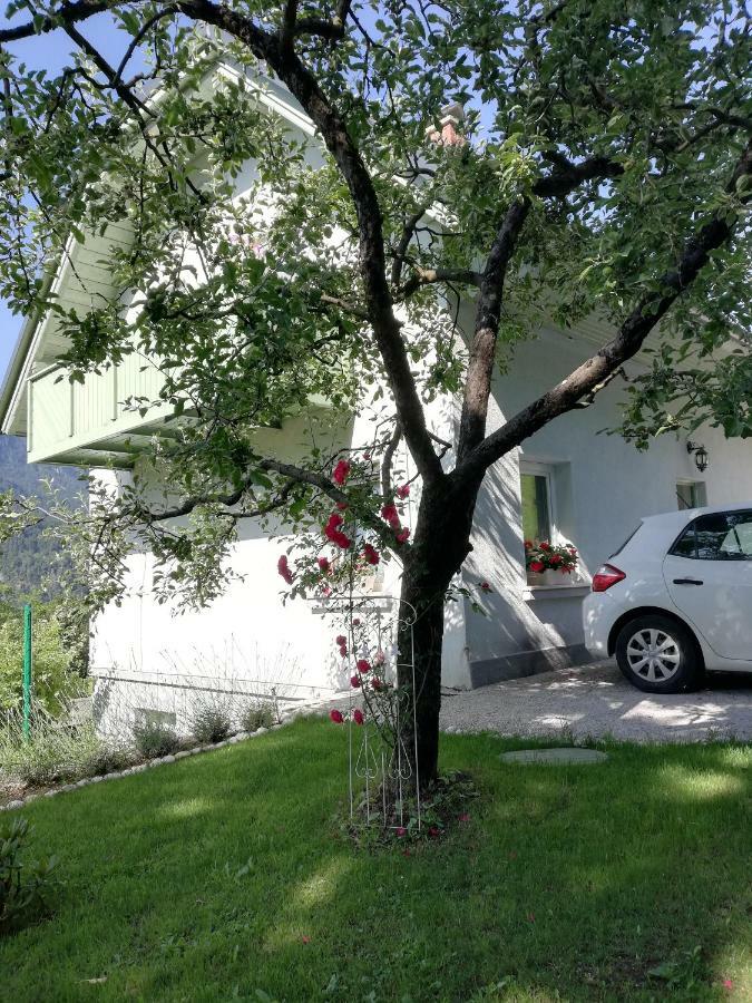 Apartma Neza Bled Dış mekan fotoğraf